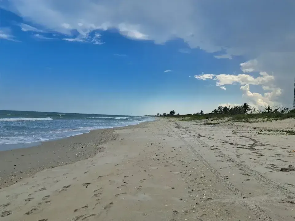 Atlantic shoreline at Pepper Park Beachside