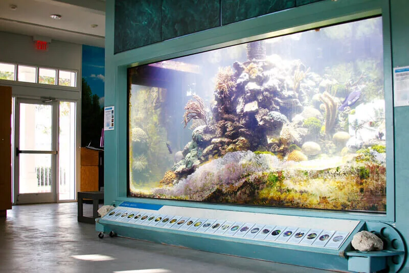 Marine exhibit inside the St. Lucie County Aquarium